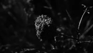 entdecken sie 7 verhaltensweisen, die aus einer schweren kindheit stammen und erkennen sie, wie sie ihr leben beeinflussen.