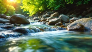 entdecken sie einen einfachen trick zum loslassen der vergangenheit, der weder therapie noch meditation erfordert. befreien sie sich jetzt von belastenden erinnerungen und finden sie innere ruhe.